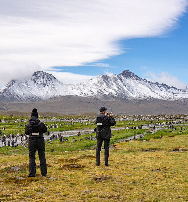 Fortuna Bay, South Georgia