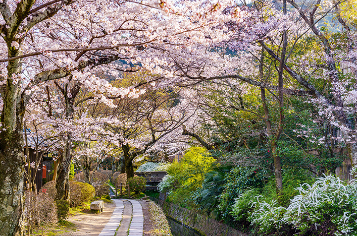 Philosophers Walk, Kyoto, Japan
