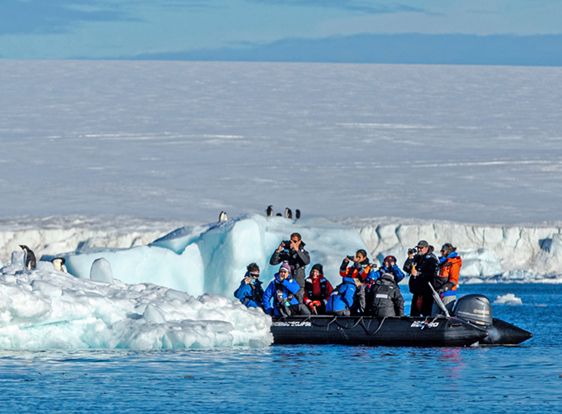Zodiac Excursion, Devil Island, Antarctica