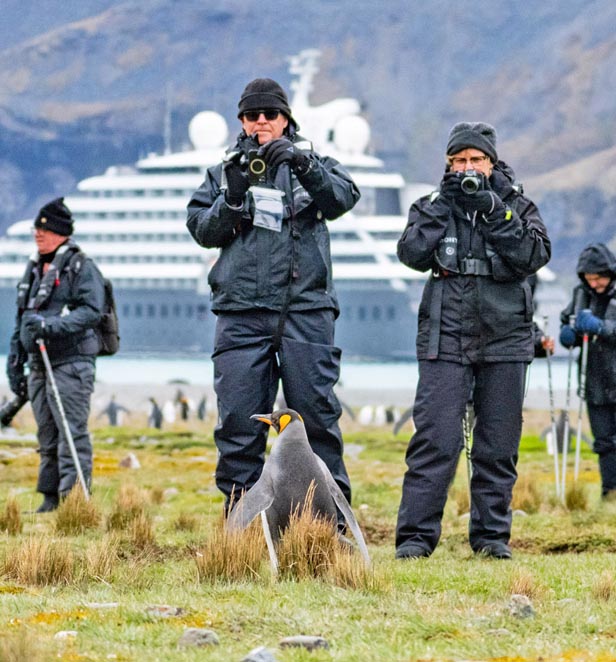 Scenic Eclipse guests observing penguins in Fortuna Bay, South Georgia