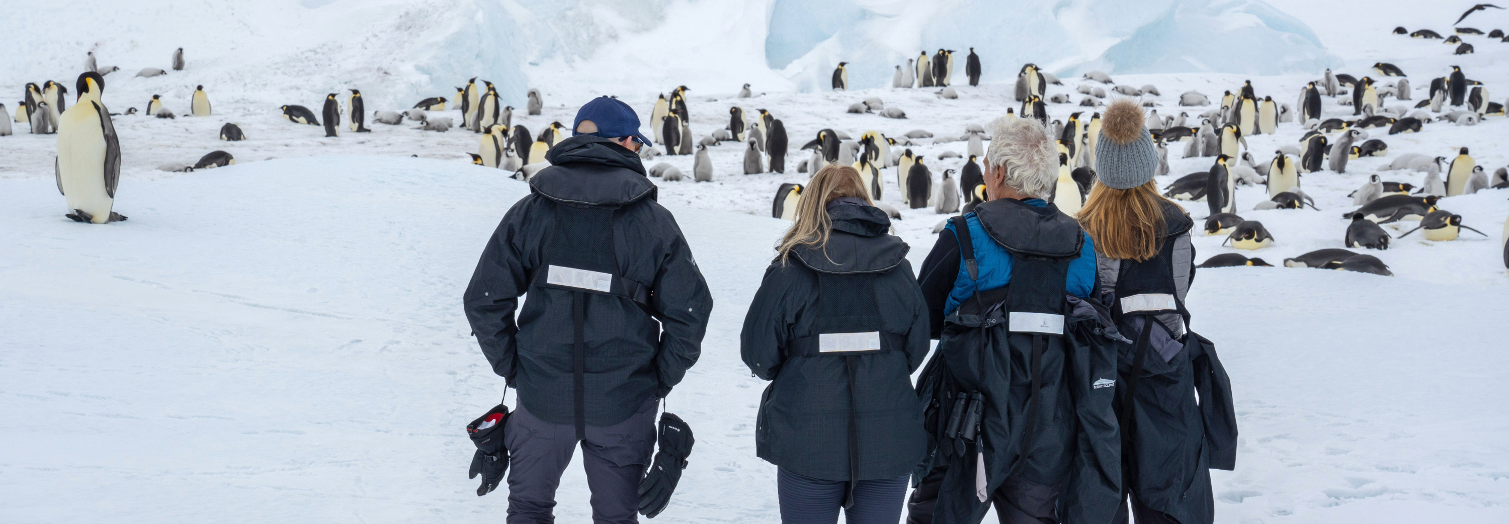 Tour group looking out towards close group of emperor penguins in snowy landscape