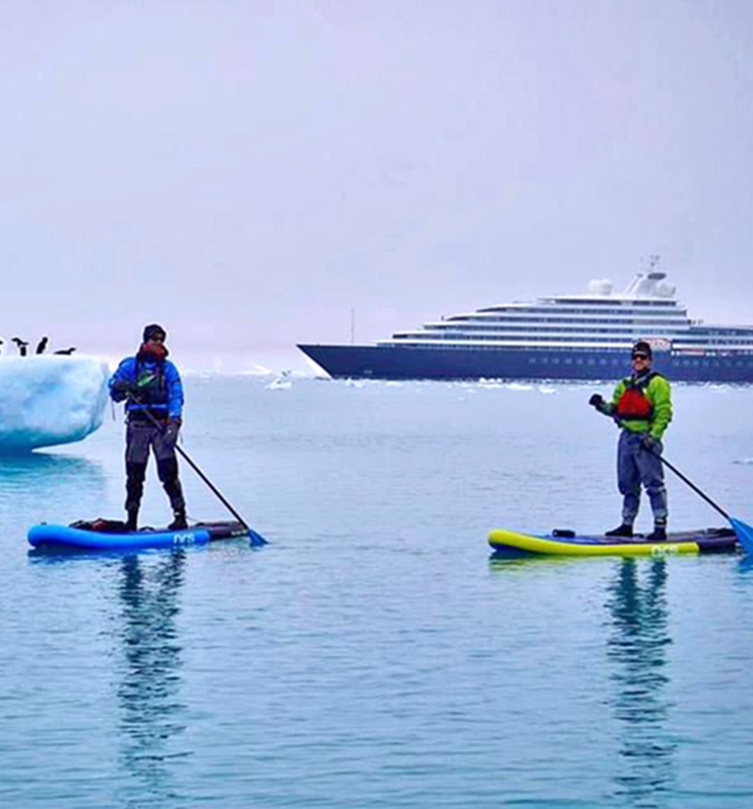 Two people stand up paddle boarding with penguins and cruise ship behind