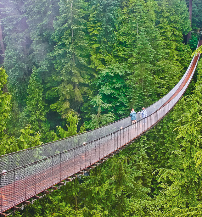 Capilano Suspension Birdge Park, Canada 
